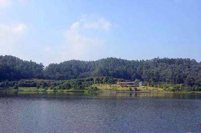 廣州南郊最大森林公園的觀光服務(wù)體驗