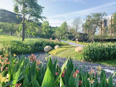 集生態種植、科普體驗、觀光游樂于一體 西麗生態公園打造兒童友好游學新路徑