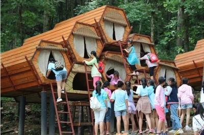 雙星閃耀林海間 朱雀與太平國家森林公園共獲2019全國森林康養產業殊榮