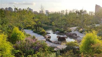 上海“見縫插綠”新增55座城市公園，公園總數(shù)達406座，市民暢享綠色福祉