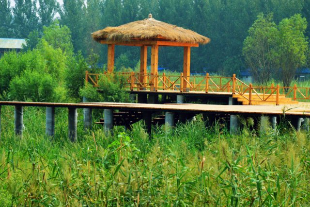 自駕玩轉(zhuǎn)河南，帳篷露營好去處——這些公園露營地你打卡了嗎？